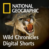 National Geographic