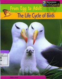 The Life Cycle of Birds