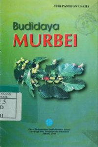 Budidaya Murbei
