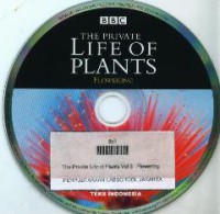 The Private Life Of Plants : Flowering