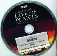 The Private Life Of Plants : The Social Struggle