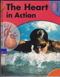 The Heart in Action