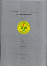 Image of Pengaruh DNA manusia purba (Neanderthal dan Denisovan) pada kesehatan manusia modern