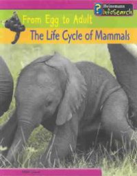 The Life Cycle of Mammals