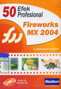 50 Efek Profesional Fireworks MX 2004