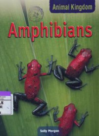 The Life Cycle of Amphibian