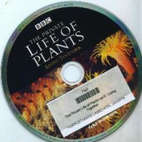 The Private Life Of Plants : Living Together