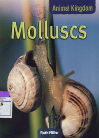 Image of Molluscs