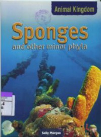 Sponges And Other Minor Phyla