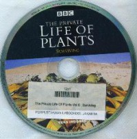 The Private Life Of Plants : Surviving